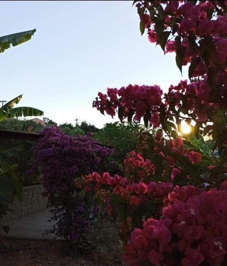 Aglaia House Villa Kouspádhes Buitenkant foto