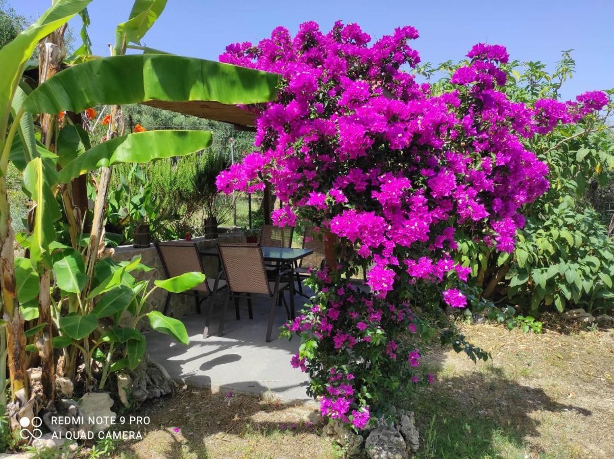Aglaia House Villa Kouspádhes Buitenkant foto